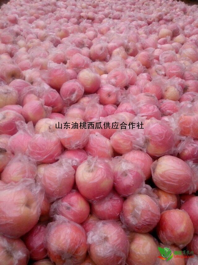 苹果代办西瓜图二