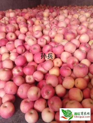 苹果代办西瓜图一