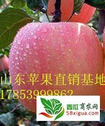 苹果代办西瓜图一