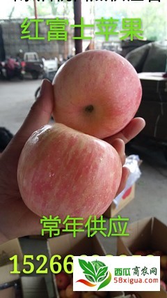 苹果代办西瓜图二