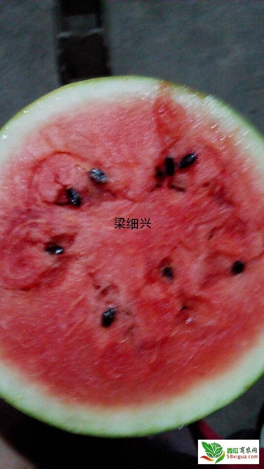 黑美人西瓜西瓜图三