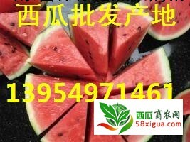 苹果代办西瓜图一