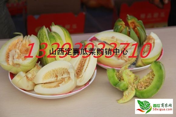 安农二号西瓜图二