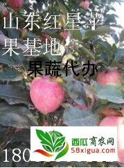 苹果代办西瓜图一