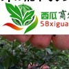 苹果代办西瓜图一