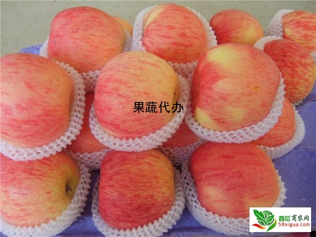 苹果代办西瓜图一