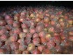 2015年红富士苹果价格/陕西冷库红香酥梨产地价格