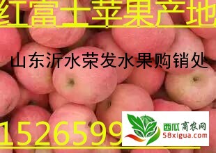 苹果代办西瓜图一