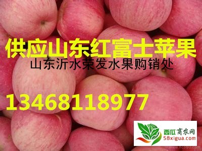 苹果经销商西瓜图二