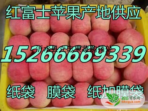 苹果代办西瓜图一