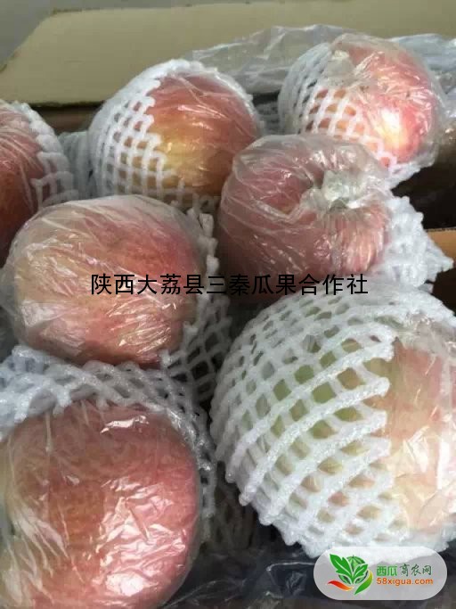苹果代办西瓜图一