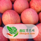苹果代办西瓜图一