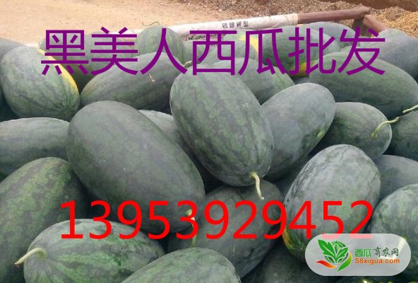 西瓜代办西瓜图一