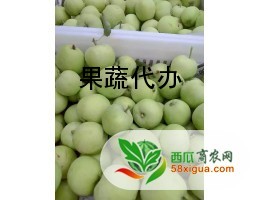 苹果代办西瓜图一