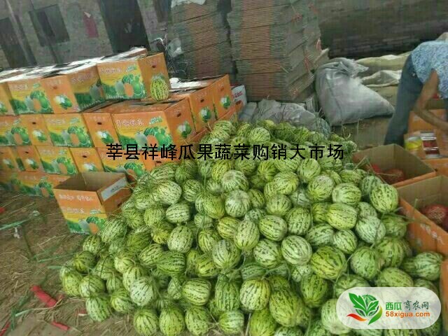 其他西瓜西瓜图二