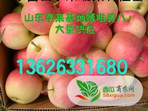苹果代办西瓜图一
