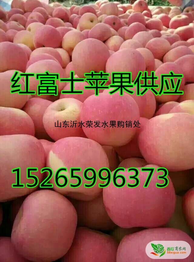 苹果代办西瓜图一