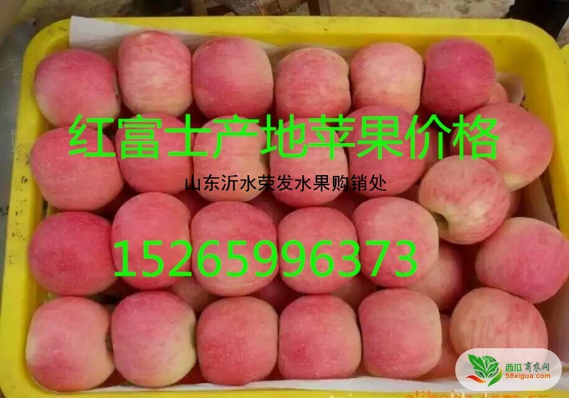 苹果代办西瓜图二