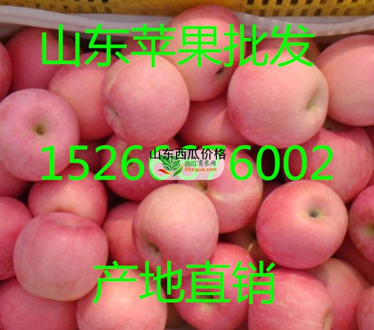 苹果代办西瓜图二