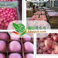 苹果代办西瓜图一