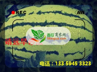 timg (1)
