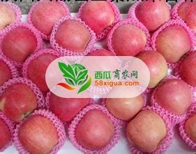 苹果代办西瓜图一