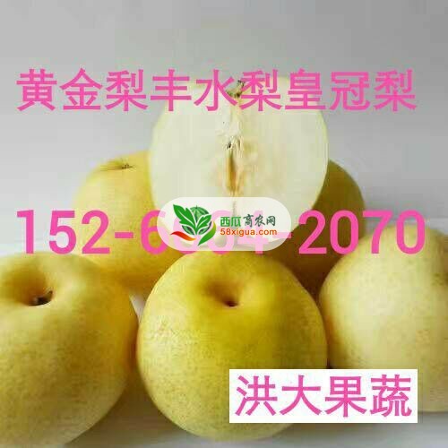 苹果代办西瓜图一