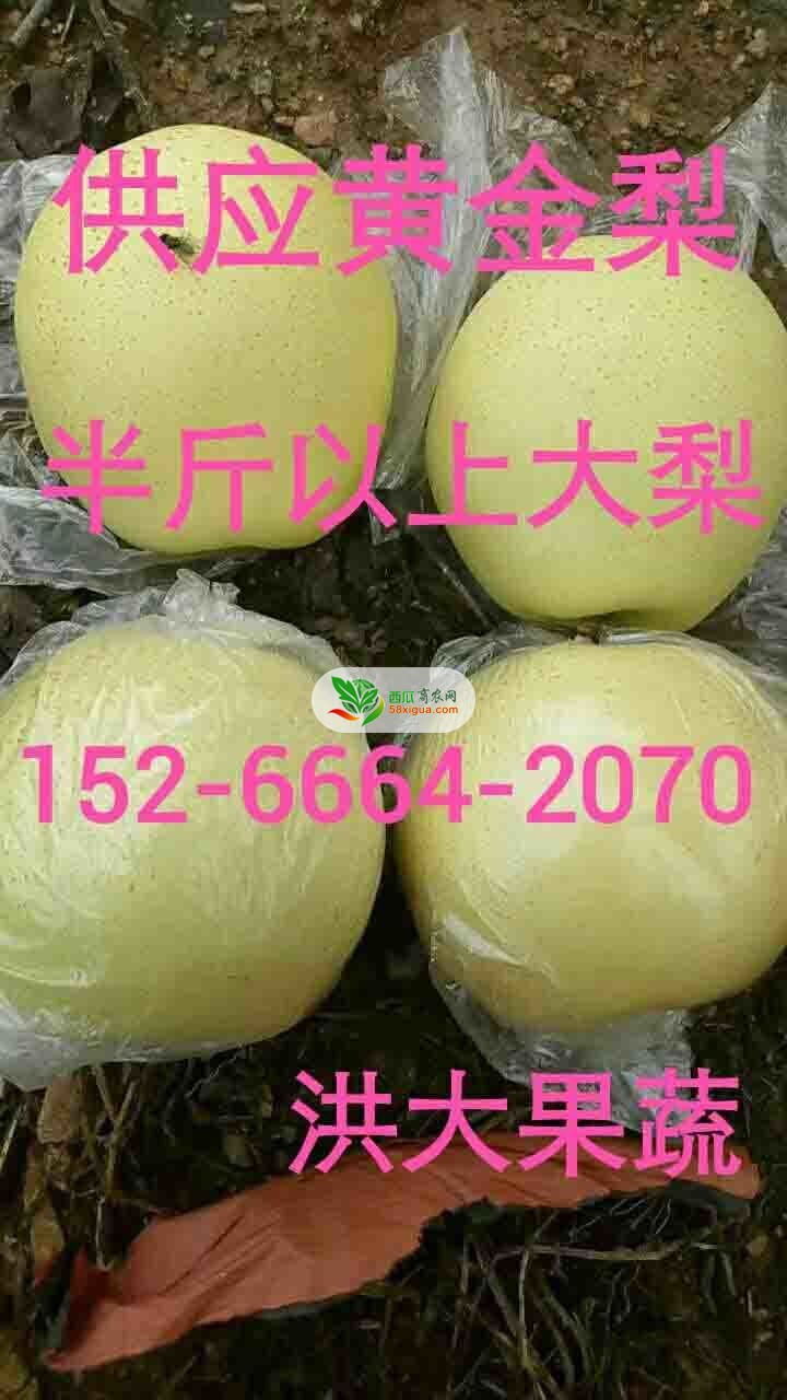 苹果代办西瓜图二