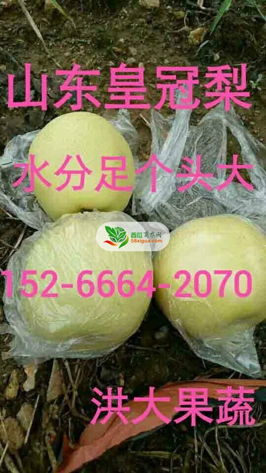 苹果代办西瓜图三