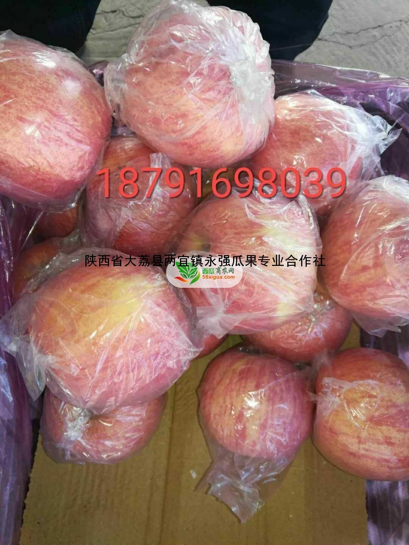 苹果代办西瓜图一