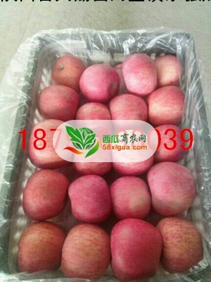 苹果代办西瓜图一