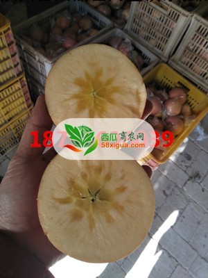 苹果代办西瓜图二