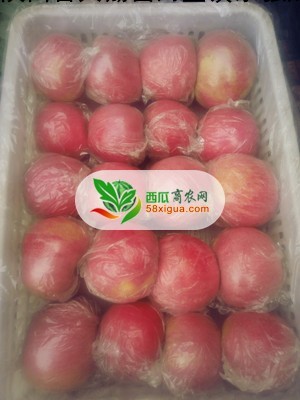 苹果代办西瓜图三