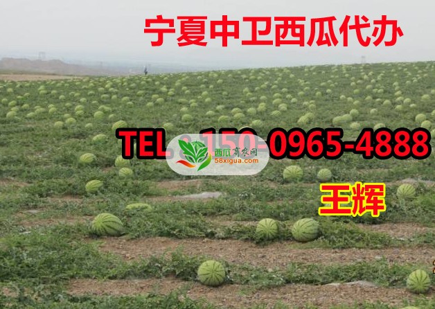 QQ图片20170611140804