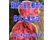 湖南岳阳麒麟西瓜诚信代办