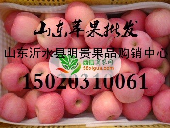 苹果经销商西瓜图三