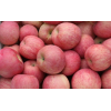 安徽砀山红富士苹果产地批发价格，美八，嘎拉