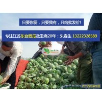 【2020江苏东台】西瓜批发电话：13222328589