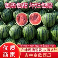 吉林安广西瓜大量接单，好货多多